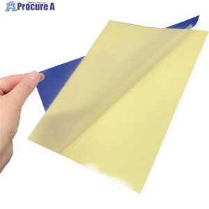 KURITA WK[hV[ DGS-6065 1 248-9477yϕsz