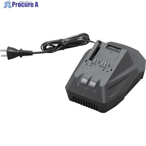 IRIS 518120 �[�d�� 18V �u���b�N DBLC18 1�� ��256-8818