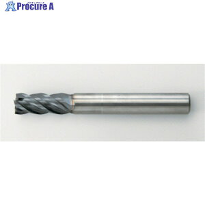 ���j�I���c�[�� ���d�G���h�~�� �X�N�G�A ��6×�n��13 CZS4060-1300 (296-0613) 1�{ ��330-9771�y������ϕs�z