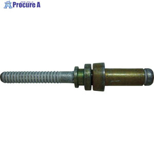Cherry �y�݌ɂȂ��Ȃ莟��A�s�x���ϕi�ɕύX�z ���x�b�g MaxiboltPROTRUDING HEAD/N t0.094�`0.157�C���`�p CR7311S-06-02 100�� ��490-8201