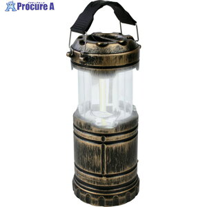 i dɂȂLED^S[h DLB-005LTDG 1 660-7312yϕsz