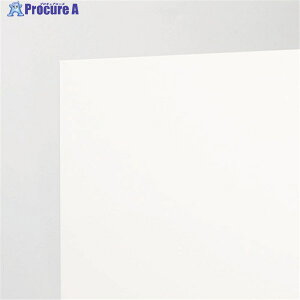 �A�N���T���f�[ �A�N����545x650x2mm EX402-M-2 1�� ��116-2097