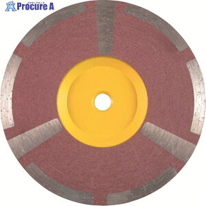 O hCZ[p[ d㌤p 100X20.0 DS-4M 1 175-8012