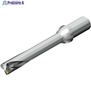 SANDVIK �R���h����DS20�n��������h����(465) DS20-D3400L40-06 (465) 1�{ ��216-4067 ��KO521
