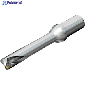 SANDVIK �R���h����DS20�n��������h����(465) DS20-D3400L40-05 (465) 1�{ ��216-4118 ��KO521