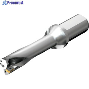 SANDVIK �R���h����DS20�n��������h����(465) DS20-D3400L40-04 (465) 1�{ ��216-4173 ��KO521