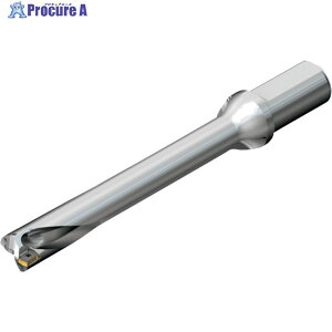 SANDVIK �R���h����DS20�n��������h����(465) DS20-D3400L40-07 (465) 1�{ ��216-5647 ��KO521