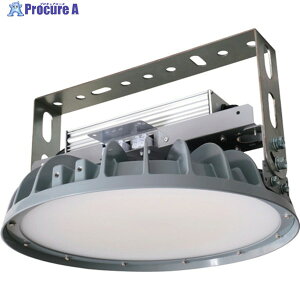 HotaluX ���V��pLED�Ɩ���� �ی`�X�^���_�[�h���f�� ���t�` �d����̌^ �����F26000lm �L�p�^�C�v DRGE25H24G/N-PJX8 1�� ��562-7297