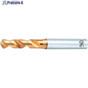 OSG EXS[hh XeXE|pX^u^ 8595323 EX-SUS-GDS-3.23(8595323) 1{ 822-6009 YA513