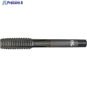 OSG nh^bv XeXp 22016 EX-SUS-HT-2-OH2-M6 X 1(22016) 1{ 822-6242 YA513