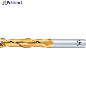 OSG �n�C�X�X�N�G�A�G���h�~�� TiN�R�[�g2�n�����O 8402224 EX-TIN-EDL-2.4(8402224) 1�{ ��822-6528 ��YA513