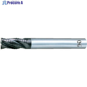OSG ���d�G���h�~�� FX ���t�B���O 20 8539700 FX-MG-REE-20(8539700) 1�{ ��200-4658 ��YA513