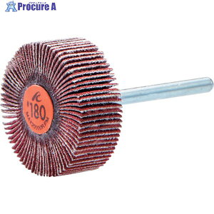 AC �Z���~�b�N�t���b�v�z�C�[�� ���a6mm #120 �O�a40×��10×����40 F4010-CE-120 5�{ ��244-9500