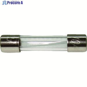 ym[q KXǃq[Y (2) 10A 6.4×30mm FP-FGBO-250V-10A-2P-PBF 1pbN 470-1810