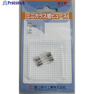 ym[q KXǃq[Y (2) 1A 5.2×20mm FP-FGMB-250V-1A-2P-PBF 1pbN 470-1895