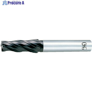 OSG ���d�G���h�~�� 8537666 FX-MG-TPMS-8X2(8537666) 1�{ ��691-3091 ��YA513
