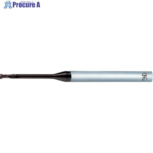 OSG �y���ؔp�ԁz���d�G���h�~�� 8538311 FX-RB-EGS-3X30(8538311) 1�{ ��692-0586 ��YA513