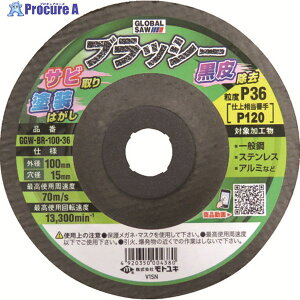���g���L �s�D�z�i�C�����u���V �u���b�V�[ (5����) GGW-BR-100-36 1�� ��114-1551