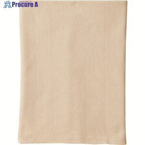 GUNZE ȃb`Lx[W H1000-L-10 1 160-9546