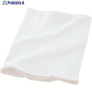 GUNZE ȃb`LLzCg H1000-LL-03 1 160-9549