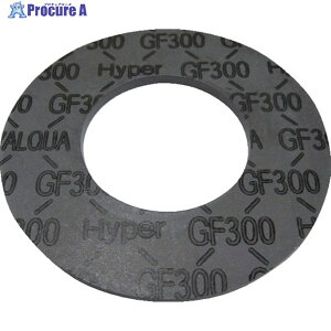 VALQUA �u���b�N�n�C�p�[�K�X�P�b�g �Ăьa32A GF300G-J5S032 1�� ��251-4421