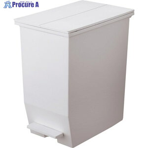 RISU H��H�I���Ŏg����y�_���_�X�g�{�b�N�X45L GY GPRB049 1�� ��258-0746