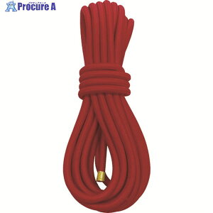 ^JCN S JbgS[v 6×5m bh GT-07 (AJ) 1 794-5698