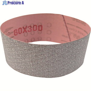 gL O[o\[ nC[[ zxg(ʉnȂ)10{ GGW-C600-300 1 836-1911