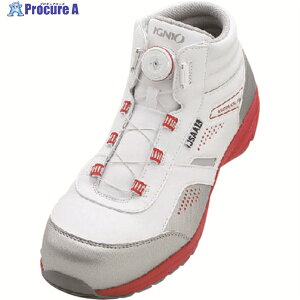 IGNIO _CZ[teBV[Y A zCg24.5cm IGS1058TGF-WH24.5 1 110-0748