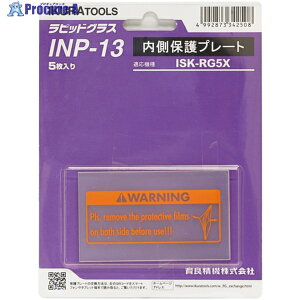 ��� RG5X�p�����ی�v���[�g(42324) INP-13 1S ��145-8078