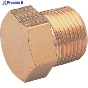 ASOH ZpvO PT1/4(RoHS) HP-1002R 1 195-3831