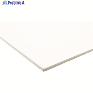 �A�N���T���f�[ ���A�X�`�����{�[�h HS-SS100A2-5 1�� ��197-3121