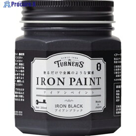ターナー アイアンペイントアイアンブラック200ML IR200009 1個 ▼225-9323