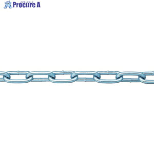 �j�b�T�`�F�C�� �S���j�N���n�ڃ����N�`�F�C�� 4.8mm×30m IW2048 1�{ ��282-6771
