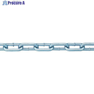�j�b�T�`�F�C�� �S���j�N���n�ڃ����N�`�F�C�� 5.5mm×30m IW2055 1�{ ��282-6780