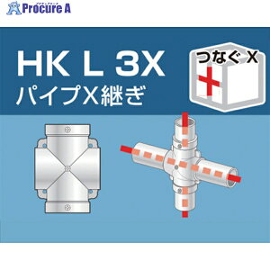 ACR PǗppCvWCg pCvXp HKL3X 1 308-0951 lls