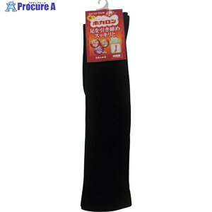 �����t�� �w�l�z�J���� �����n�C�\�b�N�X(38cm)�N�� HKCLD39TP98 1�� ��434-4744