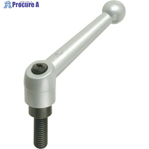 kipp Nvo[(IlW)40×30 M6 KR6X30 1 107-9361