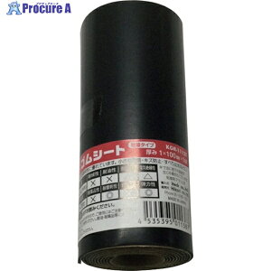  VRS[(St) 1×100×1000mm KGR-1112T 1 249-2739