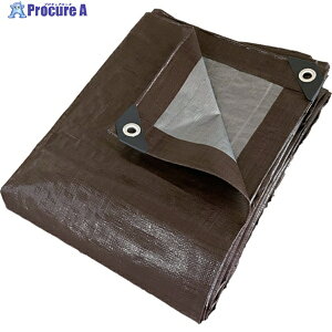 ��čH�� �i�ϔz���V�[�g �u���E���V���o�[ KEIKAN SHEET10M X 10 M 1�� ��537-5234