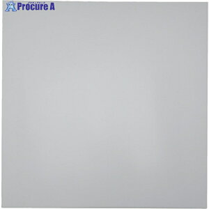 WAKI z^SV[g p^Cv  3×300mm KGS-013 1 836-3033