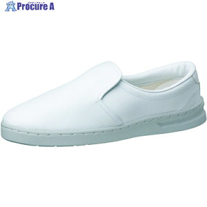 ~hS ÓdƌC GpX M101 25.0cm M101-25.0 1 121-4724