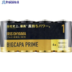 IRIS 102722 AJdr BIGCAPA PRIME P1` 4{pbN LR20BP/4P 1pbN 126-9796