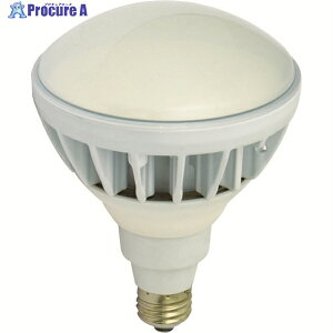 NICHIDO LED nCXybNGRrbN20W E26 F L20W-JW110-50K 1 161-4818