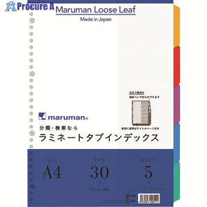 maruman t@CpJ[ ~l[g^uCfbNX A4 ~^uo 5R LT4005 1 207-2922