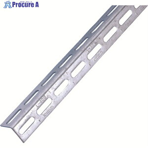 �J���_ �}���`�A���O�� L-40W-ZN-2.4 L-40W-ZN 1�{ ����808-5171 ���ԏ�n��