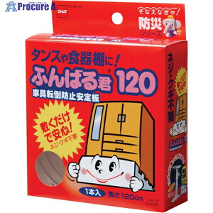 jgY Ƌ]|h~ ӂ΂N120 M6090 1{ 441-8336