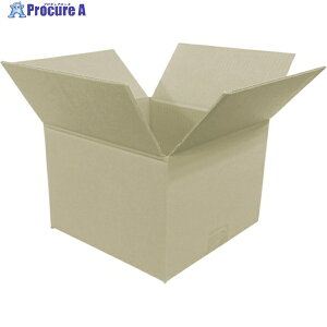 IRIS 573109 �_���{�[�� 220×220×160 M-DB-60B 20�� ��763-4102