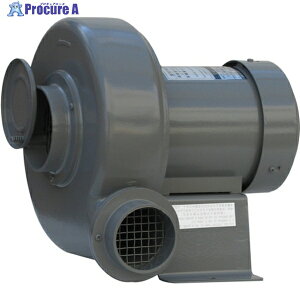 d@ d@ v[g^ NV[Y P100V (0.2kW) N3 (75MM ^\E100V) 1 109-8268