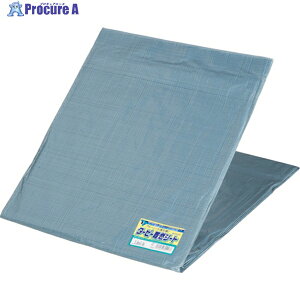  ^[s[ RV[g O[ (YƗp) 3.6m×5.4m NNS-3654 1 306-0462